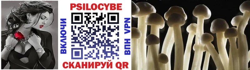 Галлюциногенные грибы ЛСД  omg маркетплейс  Ессентукская 